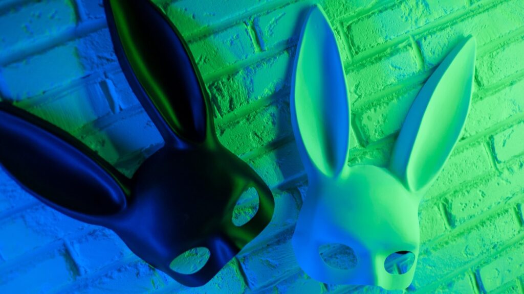 BDSM bunny masks on white brick