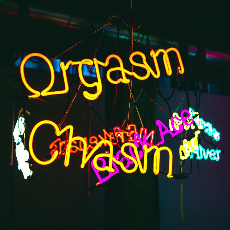 Neon sign referring to the Orgasm Gap says "Orgasm Chasm"