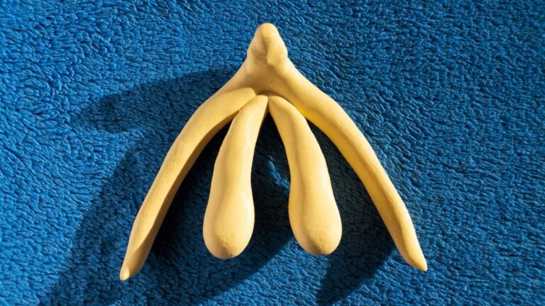 3d printed clitoris on a blue background