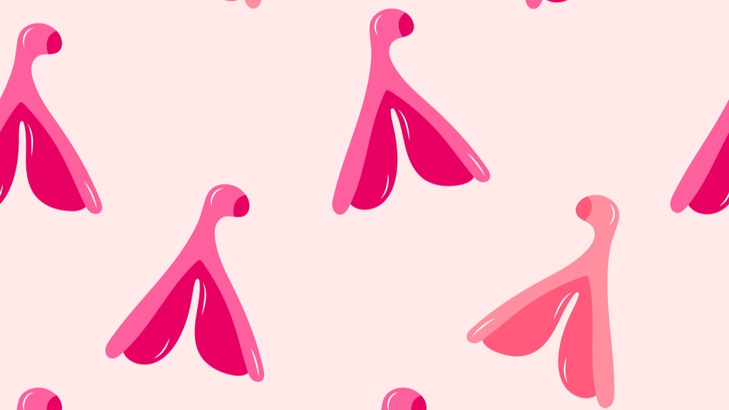 clitoris pattern illustrated